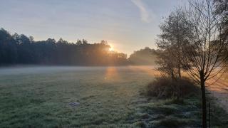 Am Grünen Meer - Müschen - 2