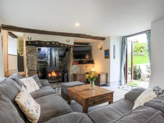 Higher Rowes Farm - Marytavy - 8