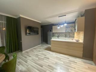 Pirosmani 18D, 3 rooms, 23 floor - Batoemi - 2