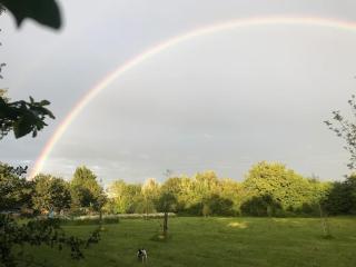 Woodpecker Shepherd Hut with private facilities Newmarket CB8 - 7