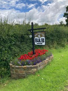 Inny River Lodge - Rathowen - 6