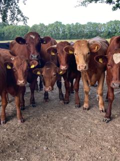 Inny River Lodge - 1