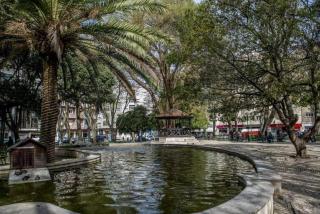 A lovely flat in Heart of Lisbon Campo de Ourique - Lissabon - 0