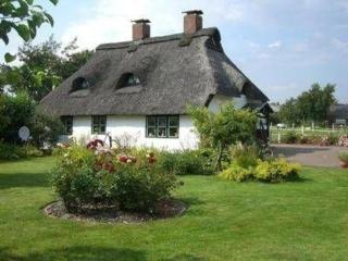 Kleines Historisches Reetdachhaus Auf Altem Deich - Helse - 9
