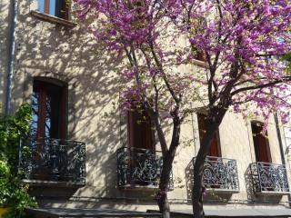 Les Santolines - Cucugnan - 6