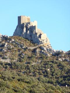 Les Santolines - Cucugnan - 4