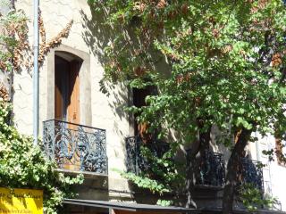 Les Santolines - Cucugnan - 1