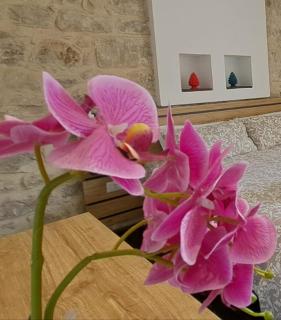 B&B Cuore Barocco - 1