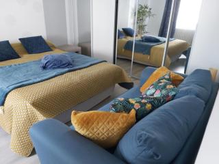 LES HIRONDELLES avec jacuzzi gratuit - Soings-en-Sologne - 3