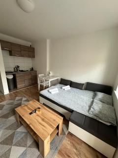 Studio apartman ANNI, Self CHECK-IN - Osijek - 9