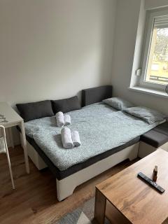 Studio apartman ANNI, Self CHECK-IN - Osijek - 6