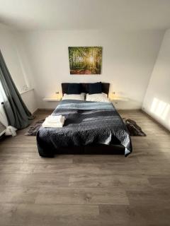 Familienwohnung nähe Europapark, Messe, Gifiz See - Offenburg - 1