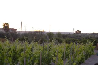 San basilio guest house - 9