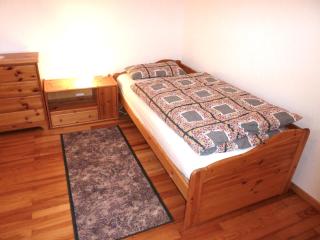 Ferienwohnung am Wald Schuttertal - Schuttertal - 1