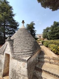 Villa Ostuni - Monopoli - 9
