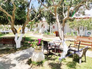 Villa Anna - Agios Petros - 9