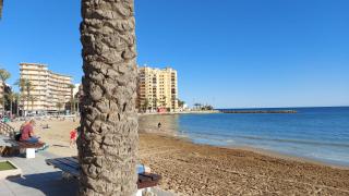 Alba Apartman Torrevieja - Torrevieja - 5