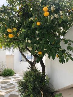 Aeolos Apartments - 8