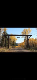 Heart West Haven - Priddis - 9