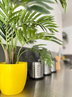 Apt 08 Beachside Beauty Central Studio Steps from Cafes - Brighton & Hove - 1