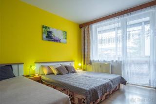Apartmán Palenica - Tatranska Strba - 1