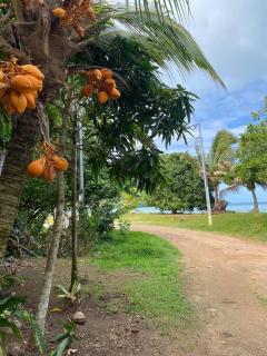 Bienvenue chez Fare Na’i - Fare (Huahine Nui) - 4