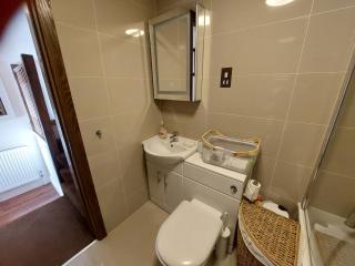 Epsom Road studio flat - Croydon - 8