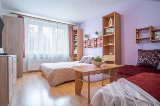 Apartmán Palenica - Tatranska Strba - 7