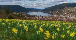 Charmant logis Gérardmer - Gérardmer - 7