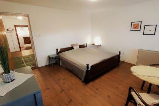 MaLu vintage house with garden - Logatec - 5