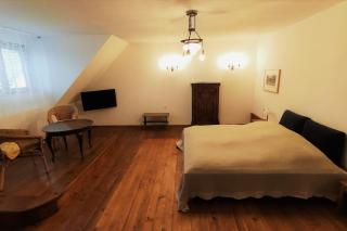 MaLu vintage house with garden - Logatec - 4