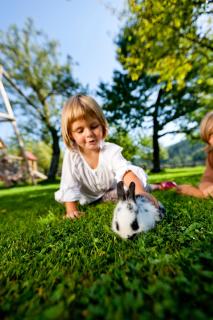 Pension Zechnerhof - 7