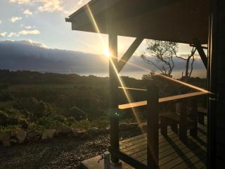 屋久島 四季の宿 - Yakushima - 8