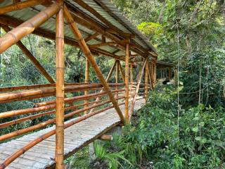 Majestic Coffee Hotel and Restaurant Tierradentro - - 9