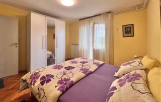 Beautiful Apartment In Pazin With Wifi - Pazin - 1