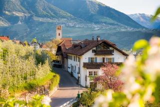 Weingut Pardellerhof - Marling - 4