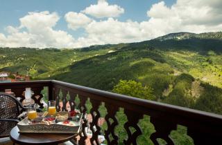 AROMA DRYOS SPA & ECO Hotel - 8