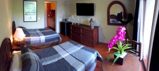 Aurora Suites - Guadalajara - 3
