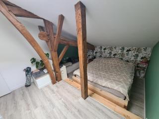 Ecovilla landaise - Saint-Laurent-de-Gosse - 4