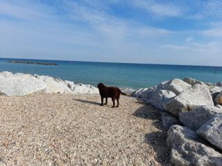 Remarkable Seaside Apartment - Sleeps 4 - Bognor Regis - 2