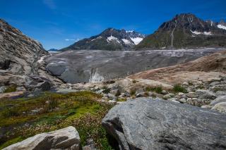 Alphütte Bielerhüs - Fiesch - 2
