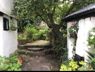Charming Cornish Cottage - Newlyn - 6