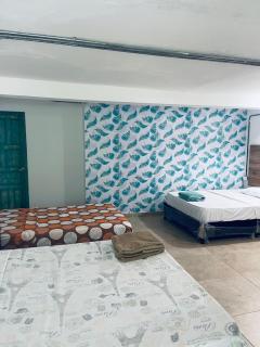Hotel TIERRA NUEVA Campestre - La Vega - 6