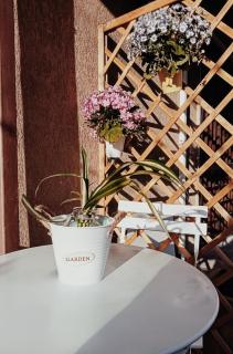 A Casa di Giuseppa Natura bio - 3