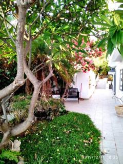 Bel Appartement de 47 m2 RDC a terre sainte ! - Saint-Pierre - 4