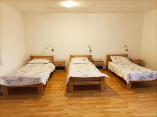 NamelessParty house - Smoljanci - 4