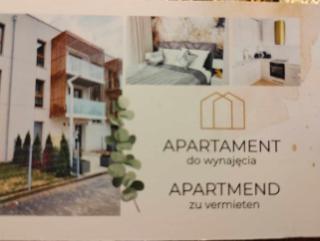 Apartament Jagiełły - Olsztynek - 4