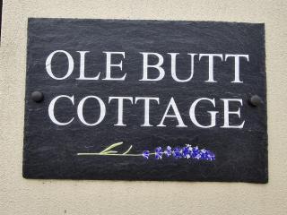 Ole Butt Cottage - Cinderford - 7