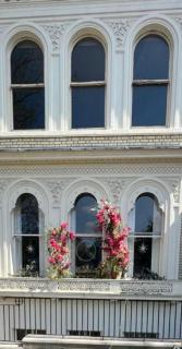 Ferienwohnung in einer Villa mit herrlichem Garten und Katze - Sydenham - 0