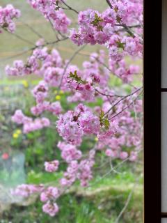 The Lobs, Lake Toya "former Yellow House by Lake Toya" - Tōya - 6